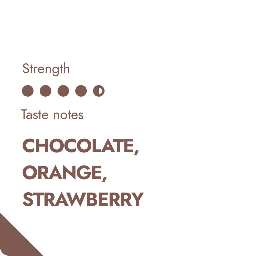 Colombian Coffee Beans | COLOMBIA SPECIALTY COFFEE BEANS